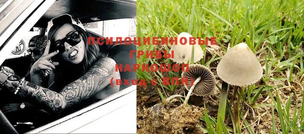 первитин Алексеевка