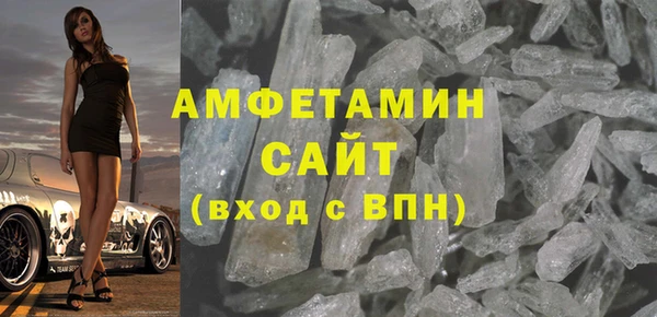 стаф Алзамай