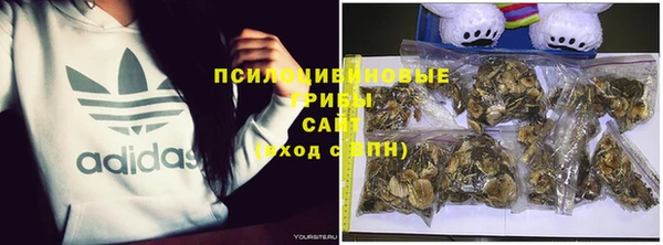 первитин Алексеевка