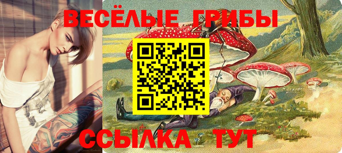 Псилоцибиновые грибы Magic Shrooms  Вход с VPN  Ангарск 